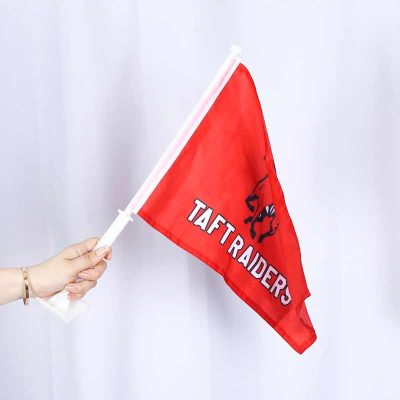 flag in hand