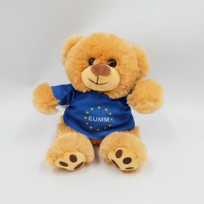 teddy bear plush with t shirt