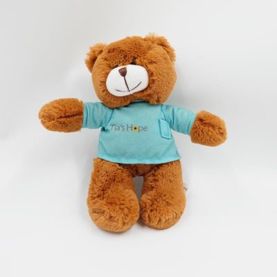 plush teddy bear with t shirt