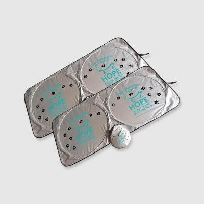 hope sunshade, silver